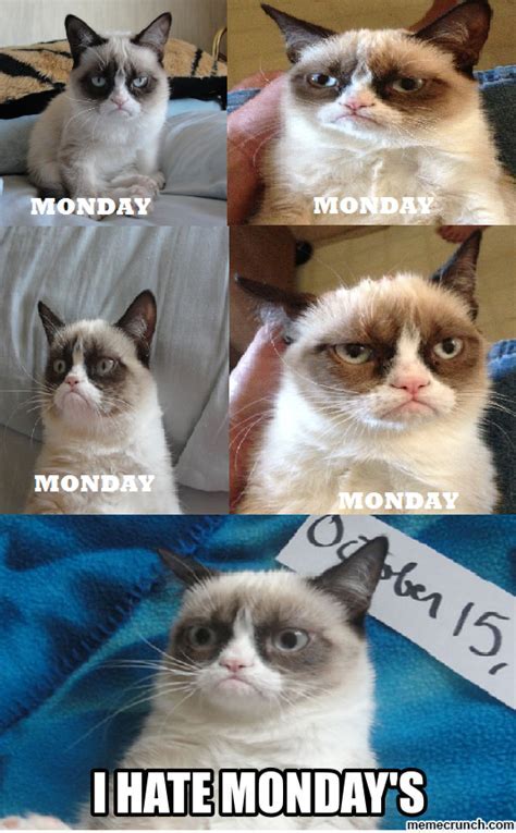 Grumpy cat monday Memes