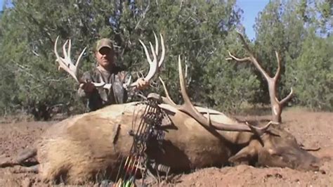 Archery Elk Hunt - YouTube