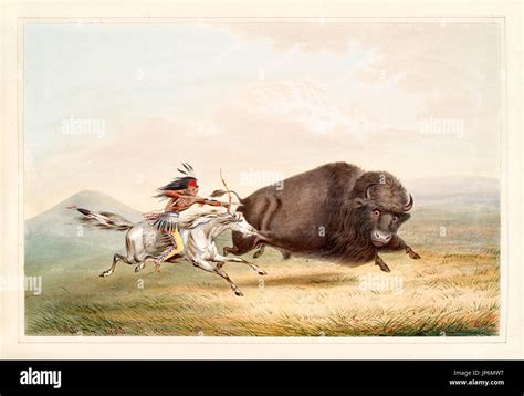 Native american indian hunting buffalo hi-res stock photography and ...