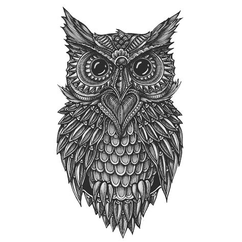 Doodle Owl on Behance