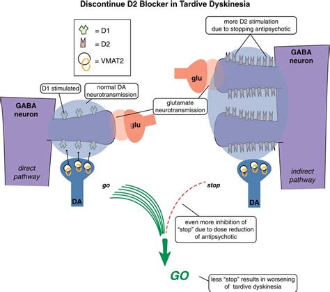 Mechanism of action of vesicular monoamine transporter 2 (VMAT2) inhibitors in tardive ...