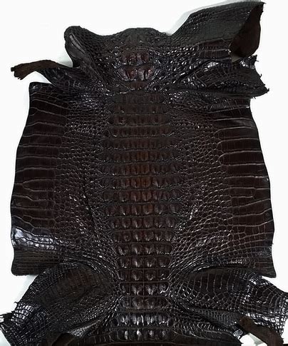 Alligator Leather - Wholesale Alligator Skins for Production | High Grade, production quality ...