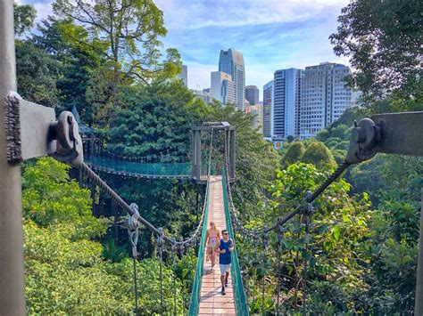 KL Forest Eco Park: How to do the Canopy Walk & Fun Hike