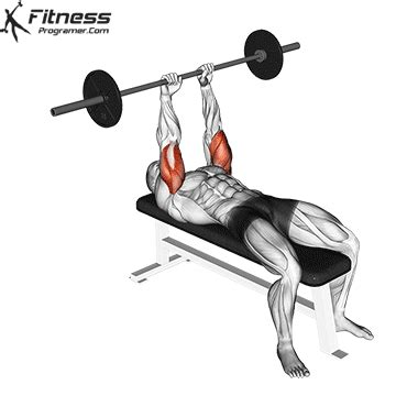 Lying Barbell Triceps Extension | Muscles Worked & Benefits