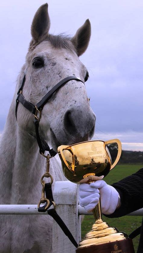 20 Living Legends - Racehorse Retirement Home ideas | racehorse, living legends, horse racing