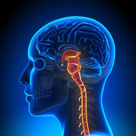 Occipital Neuralgia - Santa Ana Pain Clinic