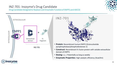 Inozyme Pharma (INZY) Investor Presentation - Slideshow (NASDAQ:INZY ...