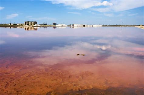 7 Naturally Beautiful Pink Lakes from Around the World | Pink lake, Nature, Lake