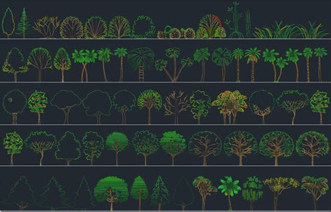 AutoCAD Trees | | Free CAD Block And AutoCAD Drawing