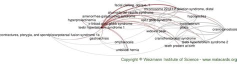 Teebi Hypertelorism Syndrome 1 disease: Malacards - Research Articles ...