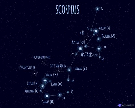 ALL 88 Star Constellations (+ Names & Meanings & Pictures)