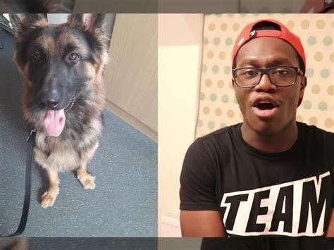 Police Say They Didn't Steal YouTube Star Deji's Dog, Seized After ...