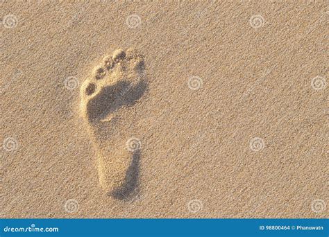 Human Footprint on Sand with Amazing Nature Sun Lightning. Can S Stock Photo - Image of coast ...