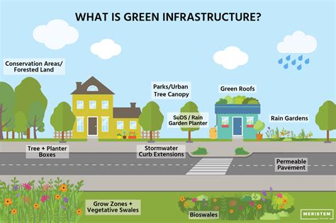 Green Infrastructure: The Key to Urban Resilience | Meristem Design