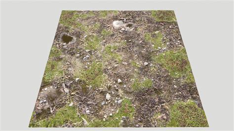 Forest Ground PBR Pack 13 - 3D Texture by 32cm