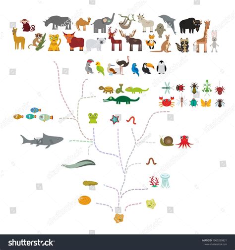 Evolution in biology, scheme evolution of animals isolated on white background. children's ...