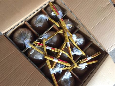 Wholesale Chinese Fireworks 4 Inch Display Shells - Buy 4 Inch Display Shells,Fireworks 4 Inch ...