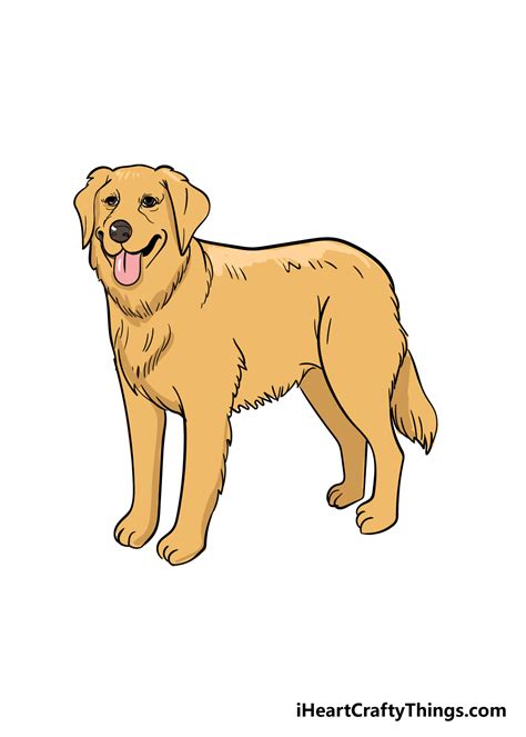 Golden Retriever Drawings Simple