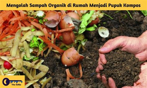 Mengolah Sampah Organik di Rumah Menjadi Pupuk Kompos | The EdGe