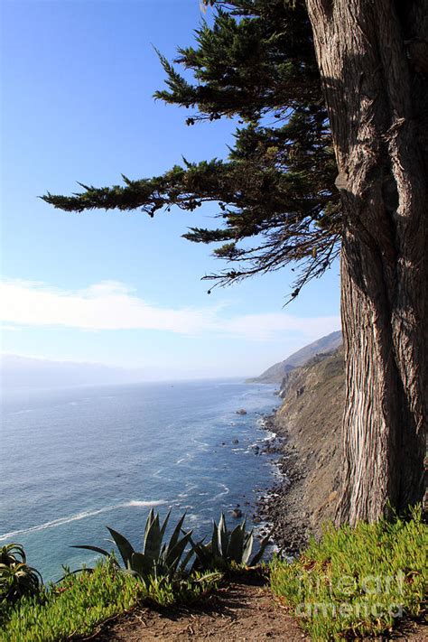 Big Sur Coastline Photograph by Linda Woods