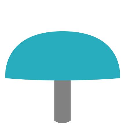 Types of Cap Shapes | Mushroom Identification