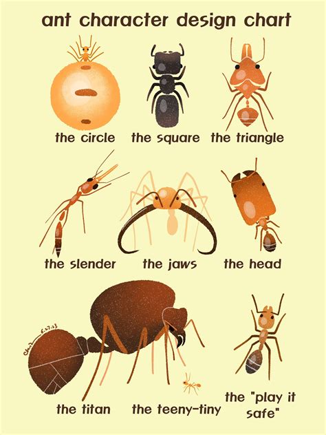 Chentomology on Twitter: "Ant character design chart 🐜 https://t.co ...