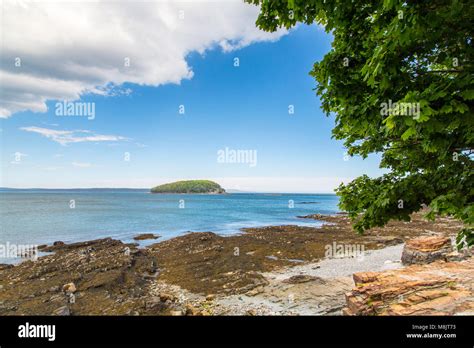 Bar Harbor in the Acadia National Park Stock Photo - Alamy