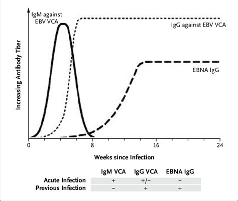 Epstein-Barr Virus (EBV) And Infectious Mononucleosis, 52% OFF