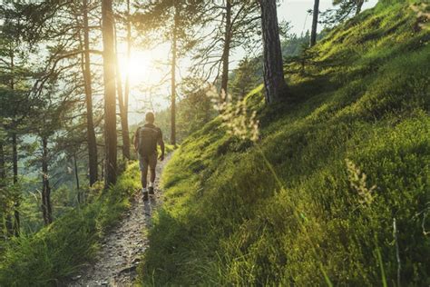 10 Surprising and Powerful Benefits of Walking Daily | HUM Nutrition Blog