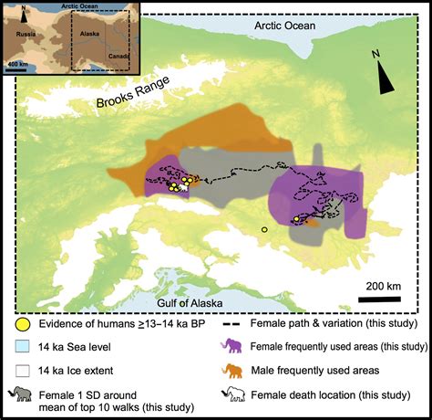 Early Alaskans Built Hunt Camps on Woolly Mammoth Migration Routes