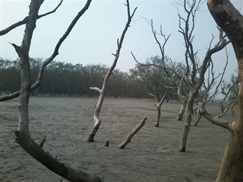 Explore Gahirmatha Beach, Kendrapara, OD