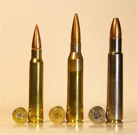 Magnum Cartridge Magnum Bullet? Go Ahead Punk — Ron Spomer Outdoors