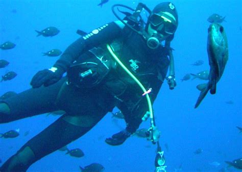 Cathedral Cove Dive - Coromandel Town Information Centre