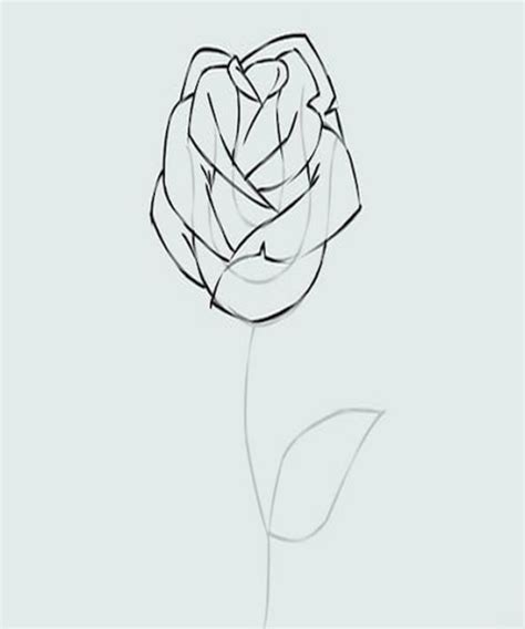 How To Draw Flowers Step by Step for Android - Download