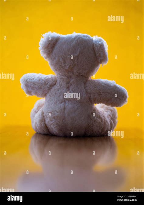 Book cover concept - Childhood - Rear view of a teddy bear on a yellow ...