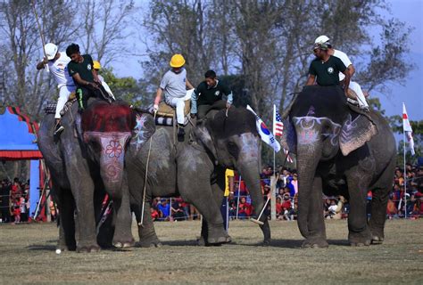 Elephant Festival – HAN Chitwan