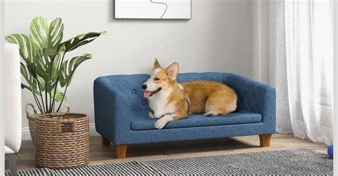 The 10 Best Couch Material For Dogs-Friendly Review