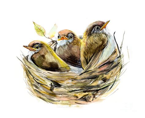 Three Chicks Nest With A Baby Birds Digital Art by Marya Kutuzova - Pixels