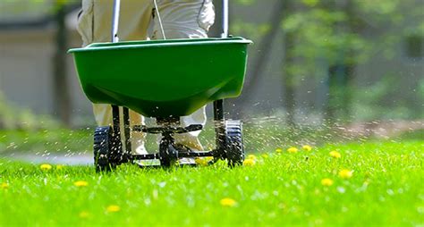 Impacts of Lawn Fertilization Services - Sharara Decor