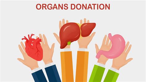 Separating Fact From Fiction: The Reality Of Organ Donation Myths | OnlyMyHealth