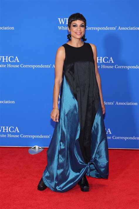 White House Correspondents Association Dinner Red Carpet 2023, Photos