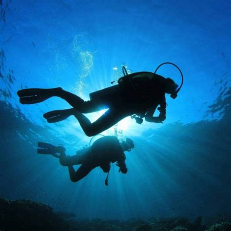 Why You Should Go Scuba Diving - The Frisky