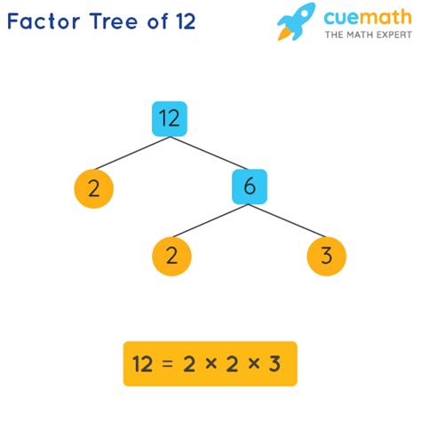 Factor Tree Of 14