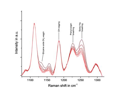 Raman spectroscopy applications | Anton Paar Wiki