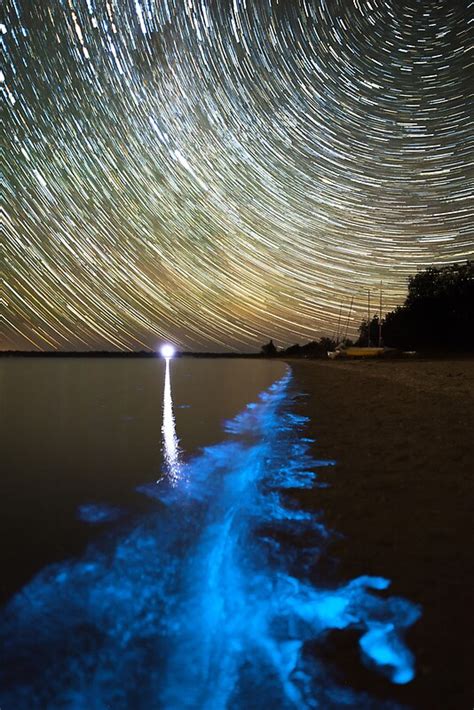 "Bioluminescence in the Gippsland Lakes" by Phil Hart | Redbubble