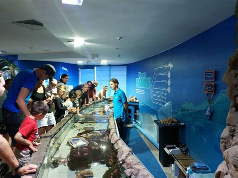 SEA LIFE Sunshine Coast Aquarium Cheap Tickets - Mooloolaba, QLD