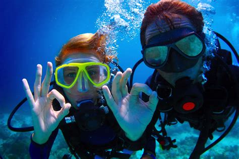 Some of the Best Naples, Florida Scuba Diving Shops | Naples Florida ...