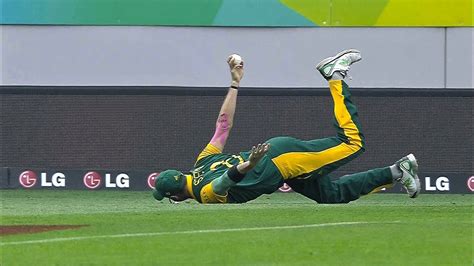 Top 10 Best Catches in Cricket History Ever till 2016 - YouTube