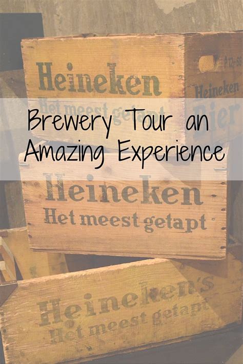 Why the Heineken Brewery Tour Is an Amazing Experience? | Europe travel ...