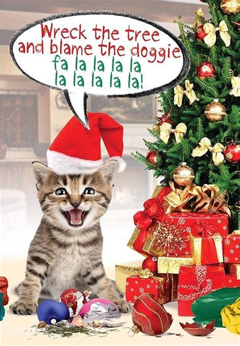 10 Cute and Funny Cat Christmas Cards | Funny cat christmas cards ...